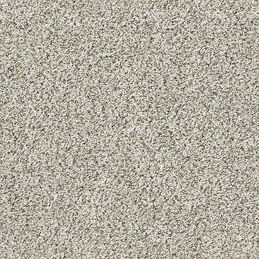 XZ014 Net Residential Carpet