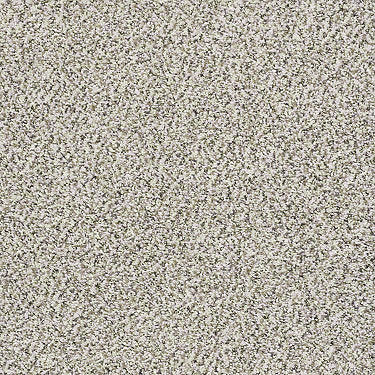 XZ014 Net Residential Carpet