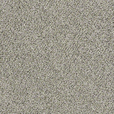 XZ015 Net Residential Carpet