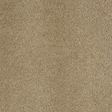 Fantasy Residential Carpet