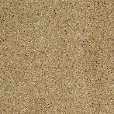 Fantasy Residential Carpet