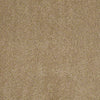 Fantasy Residential Carpet