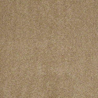 Fantasy Residential Carpet