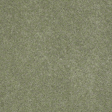 Fantasy Residential Carpet