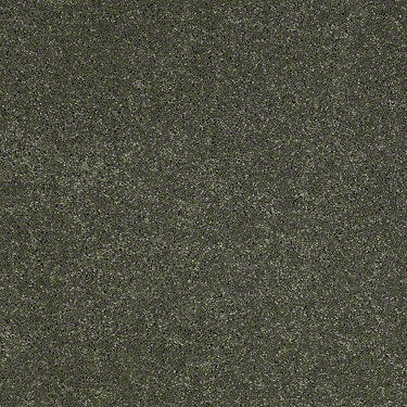 Fantasy Residential Carpet