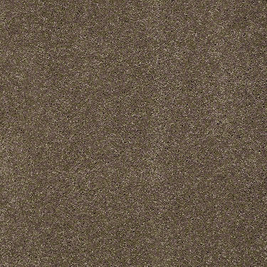 Fantasy Residential Carpet