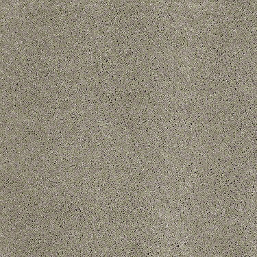 Fantasy Residential Carpet