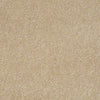 Embrace Residential Carpet