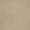 Embrace Residential Carpet