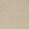 Embrace Residential Carpet