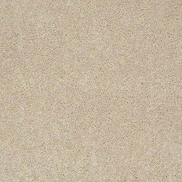 Embrace Residential Carpet