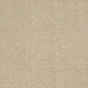 Embrace Residential Carpet