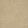 Embrace Residential Carpet