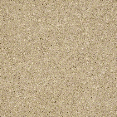 Embrace Residential Carpet