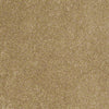 Embrace Residential Carpet