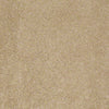 Embrace Residential Carpet