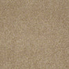 Embrace Residential Carpet