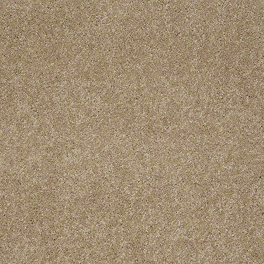 Embrace Residential Carpet