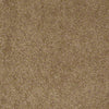 Embrace Residential Carpet