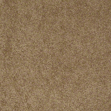 Embrace Residential Carpet