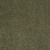 Embrace Residential Carpet