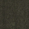 Embrace Residential Carpet