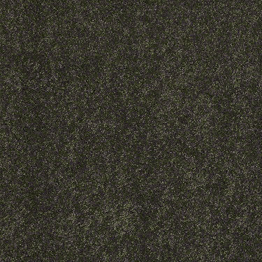 Embrace Residential Carpet