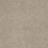 Embrace Residential Carpet