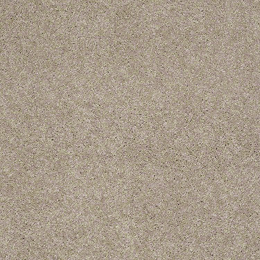 Embrace Residential Carpet