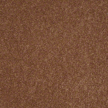 Embrace Residential Carpet