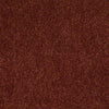 Embrace Residential Carpet