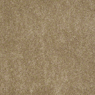 Embrace Residential Carpet
