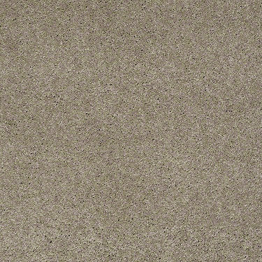 Embrace Residential Carpet