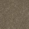 Embrace Residential Carpet