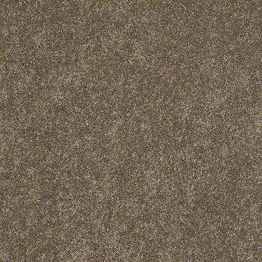 Embrace Residential Carpet