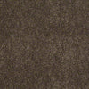 Embrace Residential Carpet
