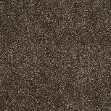 Embrace Residential Carpet
