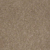 Embrace Residential Carpet