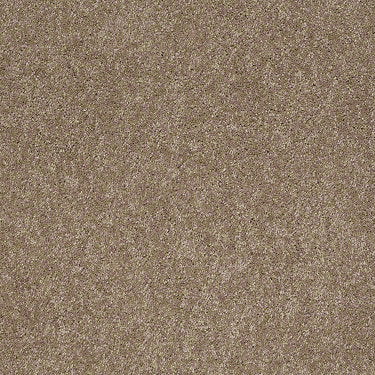 Embrace Residential Carpet