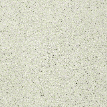 Pop Culture Residential Carpet