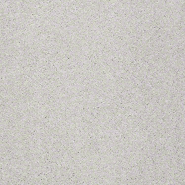 Pop Culture Residential Carpet