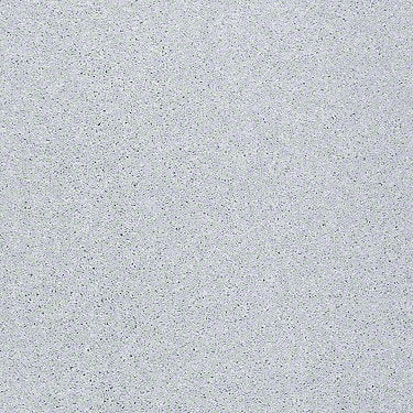 Pop Culture Residential Carpet