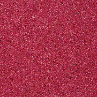 Pop Culture Residential Carpet