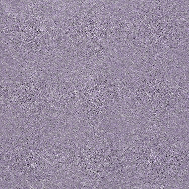 Pop Culture Residential Carpet