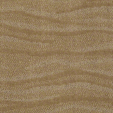 Shoreside Residential Carpet