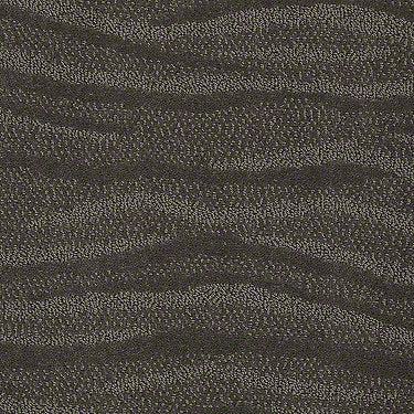 Shoreside Residential Carpet