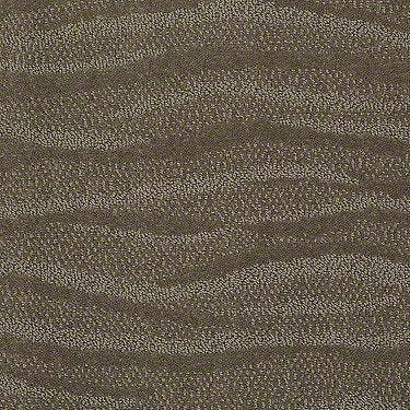 Shoreside Residential Carpet