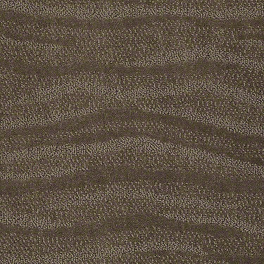 Shoreside Residential Carpet