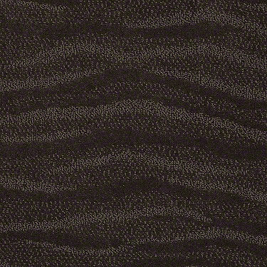 Shoreside Residential Carpet