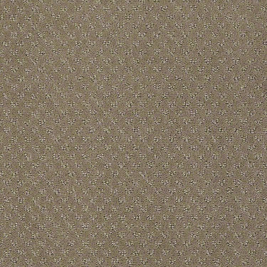 My Rules Residential Carpet